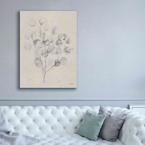 Image of 'Soft Summer Sketches II' by James Wiens, Canvas Wall Art,40 x 54