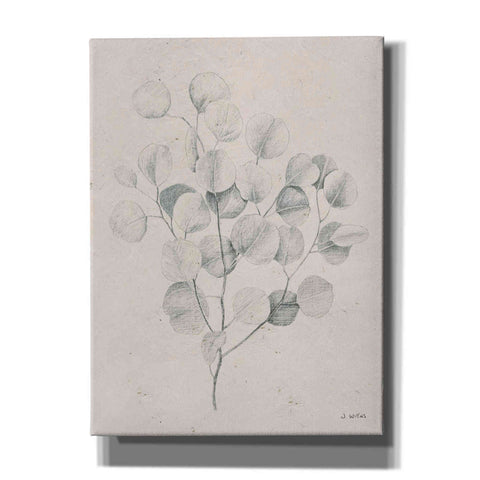 Image of 'Soft Summer Sketches II' by James Wiens, Canvas Wall Art,12x16x1.1x0,20x24x1.1x0,26x30x1.74x0,40x54x1.74x0