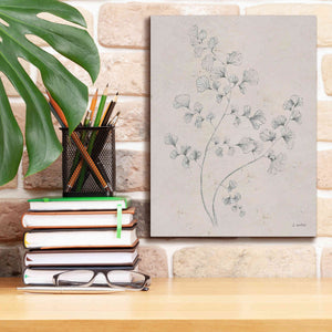 'Soft Summer Sketches IV' by James Wiens, Canvas Wall Art,12 x 16