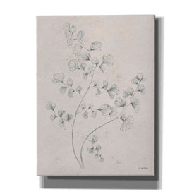 'Soft Summer Sketches IV' by James Wiens, Canvas Wall Art,12x16x1.1x0,20x24x1.1x0,26x30x1.74x0,40x54x1.74x0