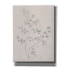 'Soft Summer Sketches IV' by James Wiens, Canvas Wall Art,12x16x1.1x0,20x24x1.1x0,26x30x1.74x0,40x54x1.74x0