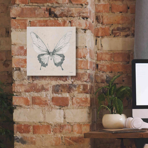 Image of 'Soft Summer Sketches V' by James Wiens, Canvas Wall Art,12 x 12