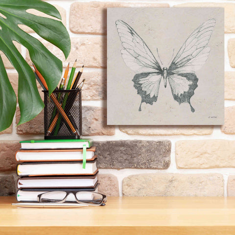 Image of 'Soft Summer Sketches V' by James Wiens, Canvas Wall Art,12 x 12