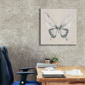 'Soft Summer Sketches V' by James Wiens, Canvas Wall Art,26 x 26