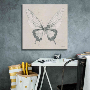 'Soft Summer Sketches V' by James Wiens, Canvas Wall Art,26 x 26