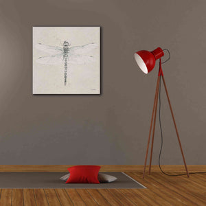 'Soft Summer Sketches VI' by James Wiens, Canvas Wall Art,26 x 26