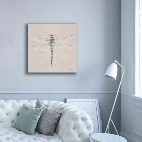 Image of 'Soft Summer Sketches VI' by James Wiens, Canvas Wall Art,37 x 37