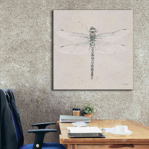 Image of 'Soft Summer Sketches VI' by James Wiens, Canvas Wall Art,37 x 37