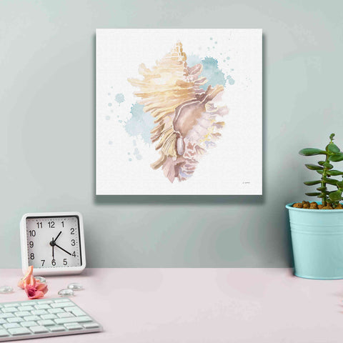 Image of 'Salento Coast IV' by James Wiens, Canvas Wall Art,12 x 12