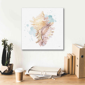 'Salento Coast IV' by James Wiens, Canvas Wall Art,18 x 18