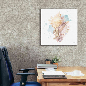 'Salento Coast IV' by James Wiens, Canvas Wall Art,26 x 26