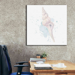 'Salento Coast V' by James Wiens, Canvas Wall Art,37 x 37