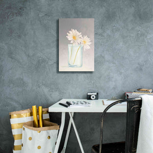 'Tranquil Blossoms IV' by James Wiens, Canvas Wall Art,12 x 18