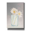 'Tranquil Blossoms IV' by James Wiens, Canvas Wall Art,12x18x1.1x0,18x26x1.1x0,26x40x1.74x0,40x60x1.74x0