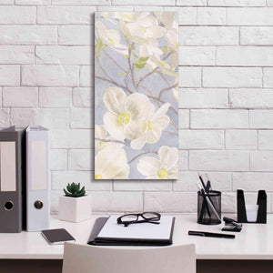 'Breezy Blossoms I' by James Wiens, Canvas Wall Art,12 x 24