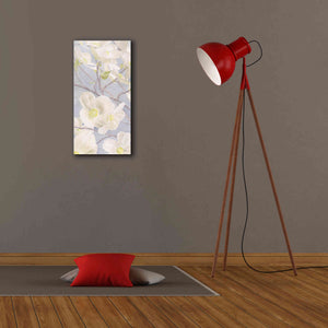 'Breezy Blossoms I' by James Wiens, Canvas Wall Art,12 x 24