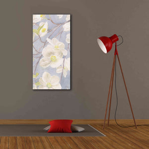 'Breezy Blossoms II' by James Wiens, Canvas Wall Art,20 x 40