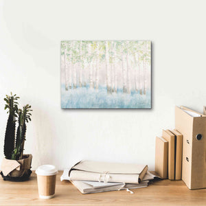 'Soft Birches' by James Wiens, Canvas Wall Art,16 x 12