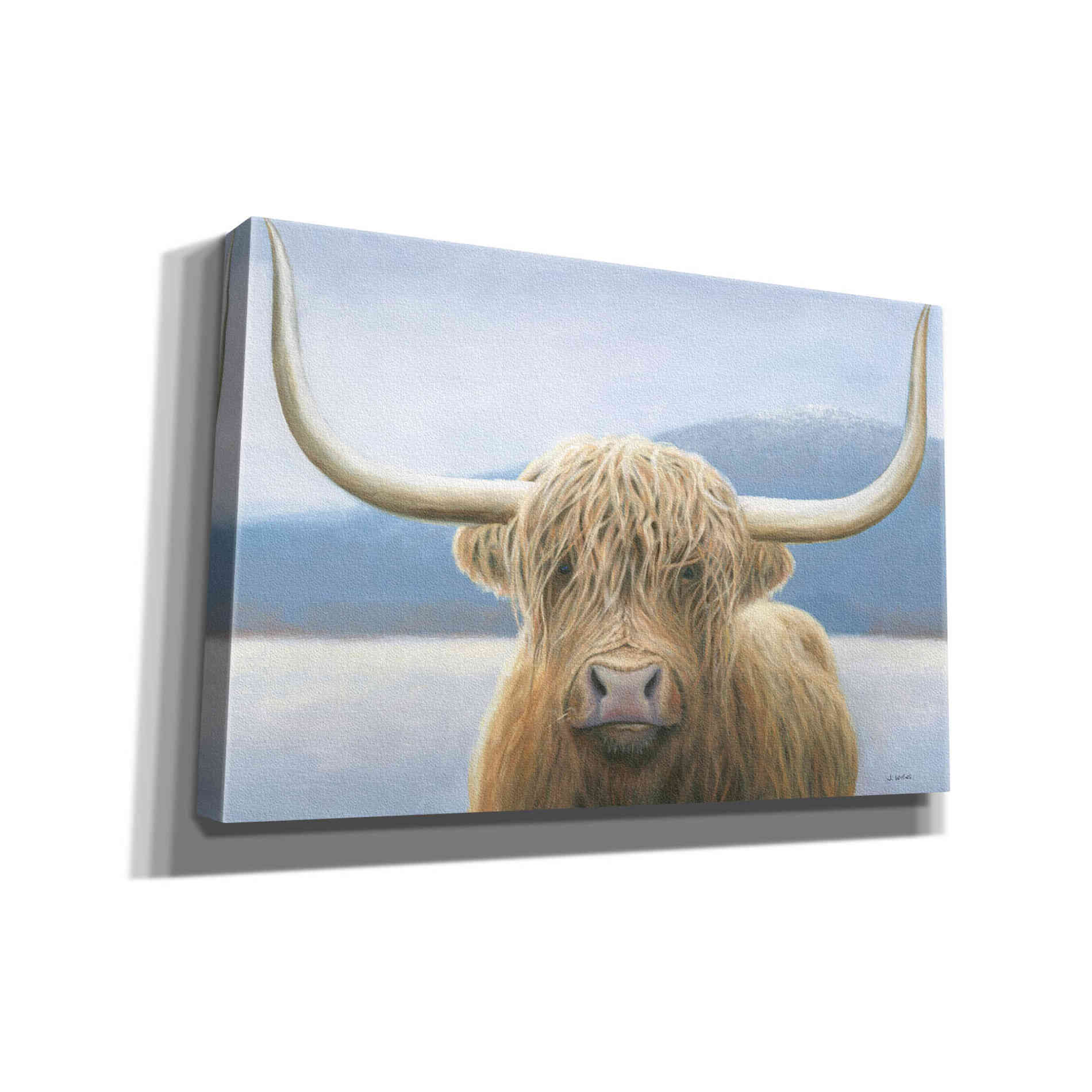 'Highland Cow' by James Wiens, Canvas Wall Art,18x12x1.1x0,26x18x1.1x0,40x26x1.74x0,60x40x1.74x0