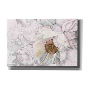 'Blooming Sketch' by James Wiens, Canvas Wall Art,18x12x1.1x0,26x18x1.1x0,40x26x1.74x0,60x40x1.74x0