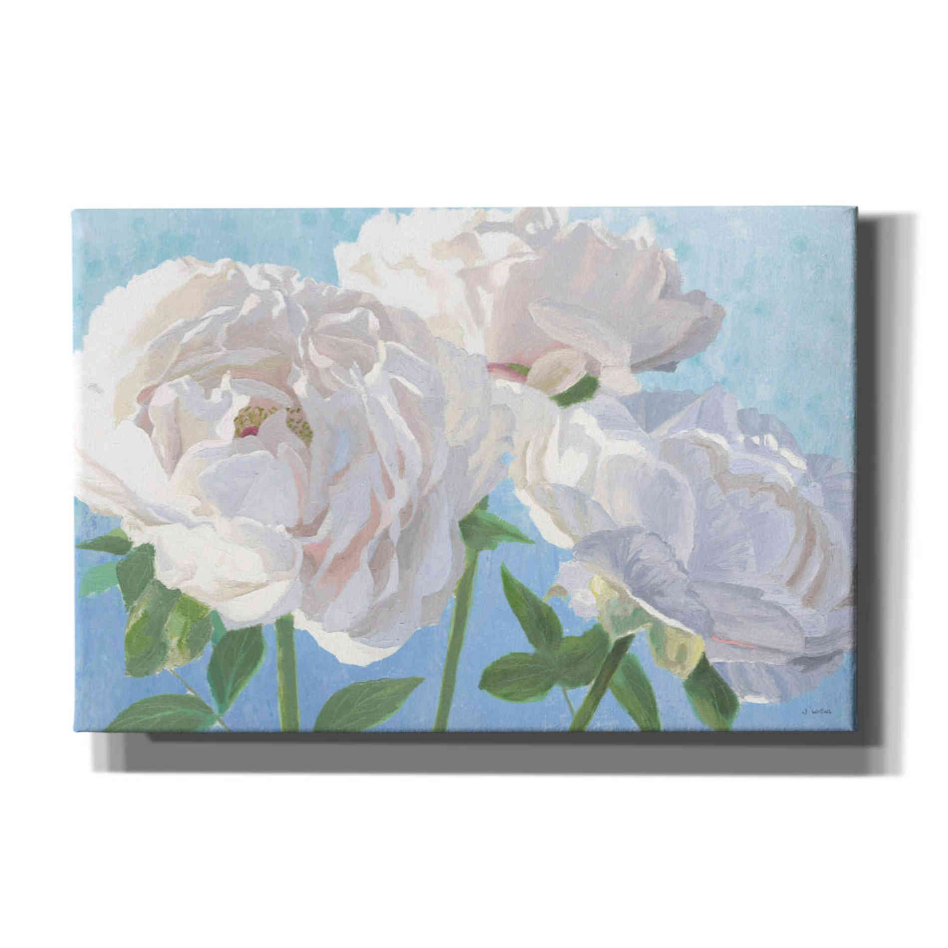 'Essence of June I' by James Wiens, Canvas Wall Art,18x12x1.1x0,26x18x1.1x0,40x26x1.74x0,60x40x1.74x0
