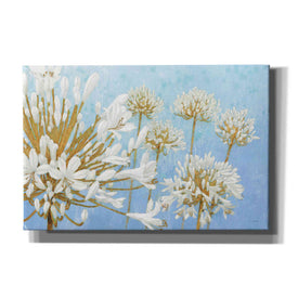 'Golden Spring' by James Wiens, Canvas Wall Art,18x12x1.1x0,26x18x1.1x0,40x26x1.74x0,60x40x1.74x0