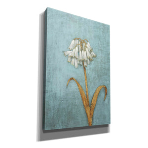'Shimmering Summer II' by James Wiens, Canvas Wall Art,12x18x1.1x0,18x26x1.1x0,26x40x1.74x0,40x60x1.74x0