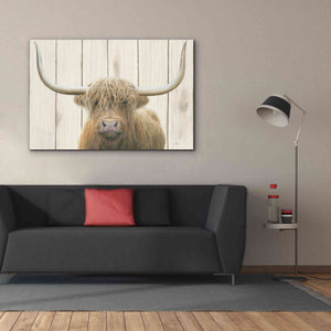 'Highland Cow Shiplap' by James Wiens, Canvas Wall Art,60 x 40