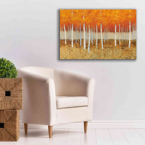 'Autumn Birches' by James Wiens, Canvas Wall Art,40 x 26