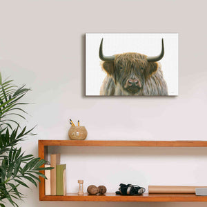 'Highlander' by James Wiens, Canvas Wall Art,18 x 12