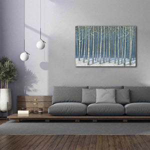 'Shimmering Birches' by James Wiens, Canvas Wall Art,60 x 40