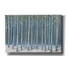 'Shimmering Birches' by James Wiens, Canvas Wall Art,18x12x1.1x0,26x18x1.1x0,40x26x1.74x0,60x40x1.74x0