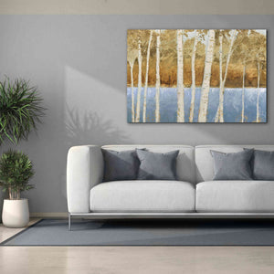 'Lakeside Birches' by James Wiens, Canvas Wall Art,60 x 40