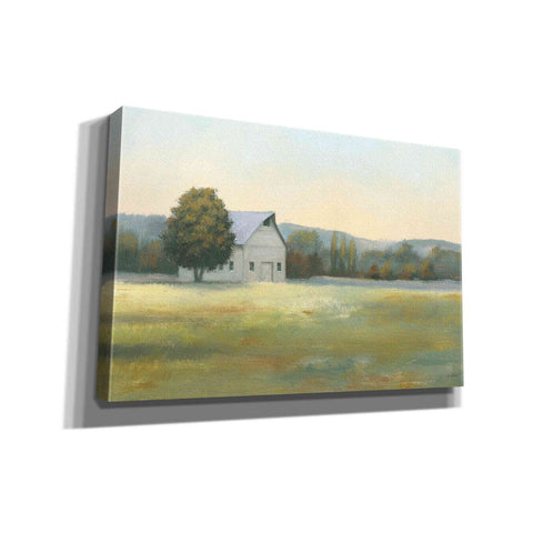 Image of 'Morning Meadows II' by James Wiens, Canvas Wall Art,18x12x1.1x0,26x18x1.1x0,40x26x1.74x0,60x40x1.74x0