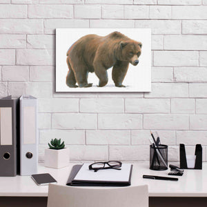 'Northern Wild  I' by James Wiens, Canvas Wall Art,18 x 12