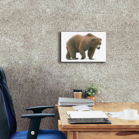 Image of 'Northern Wild  I' by James Wiens, Canvas Wall Art,18 x 12
