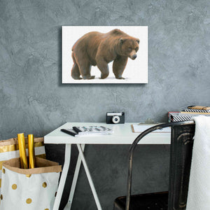 'Northern Wild  I' by James Wiens, Canvas Wall Art,18 x 12