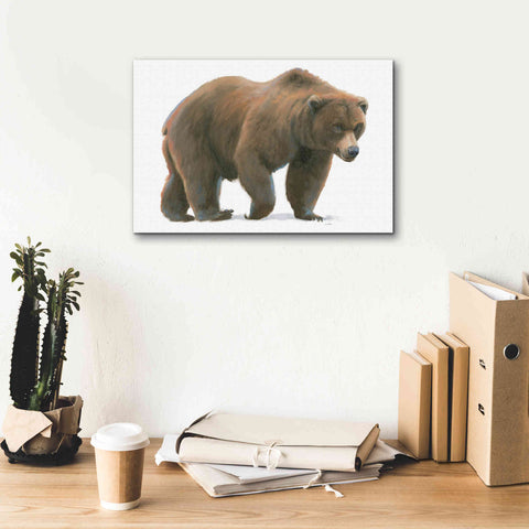 Image of 'Northern Wild  I' by James Wiens, Canvas Wall Art,18 x 12