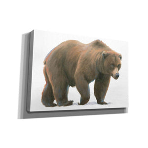 'Northern Wild  I' by James Wiens, Canvas Wall Art,18x12x1.1x0,26x18x1.1x0,40x26x1.74x0,60x40x1.74x0