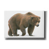 'Northern Wild  I' by James Wiens, Canvas Wall Art,18x12x1.1x0,26x18x1.1x0,40x26x1.74x0,60x40x1.74x0