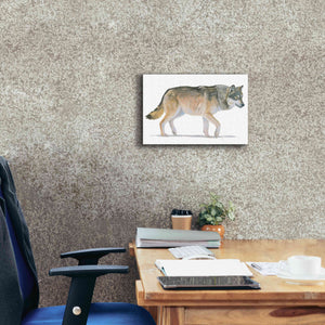 'Northern Wild II' by James Wiens, Canvas Wall Art,18 x 12
