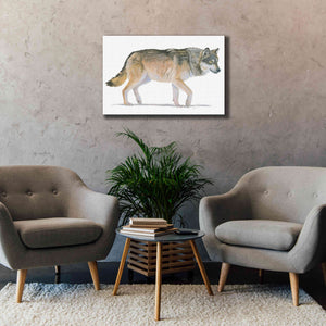'Northern Wild II' by James Wiens, Canvas Wall Art,40 x 26