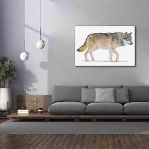 'Northern Wild II' by James Wiens, Canvas Wall Art,60 x 40