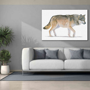 'Northern Wild II' by James Wiens, Canvas Wall Art,60 x 40