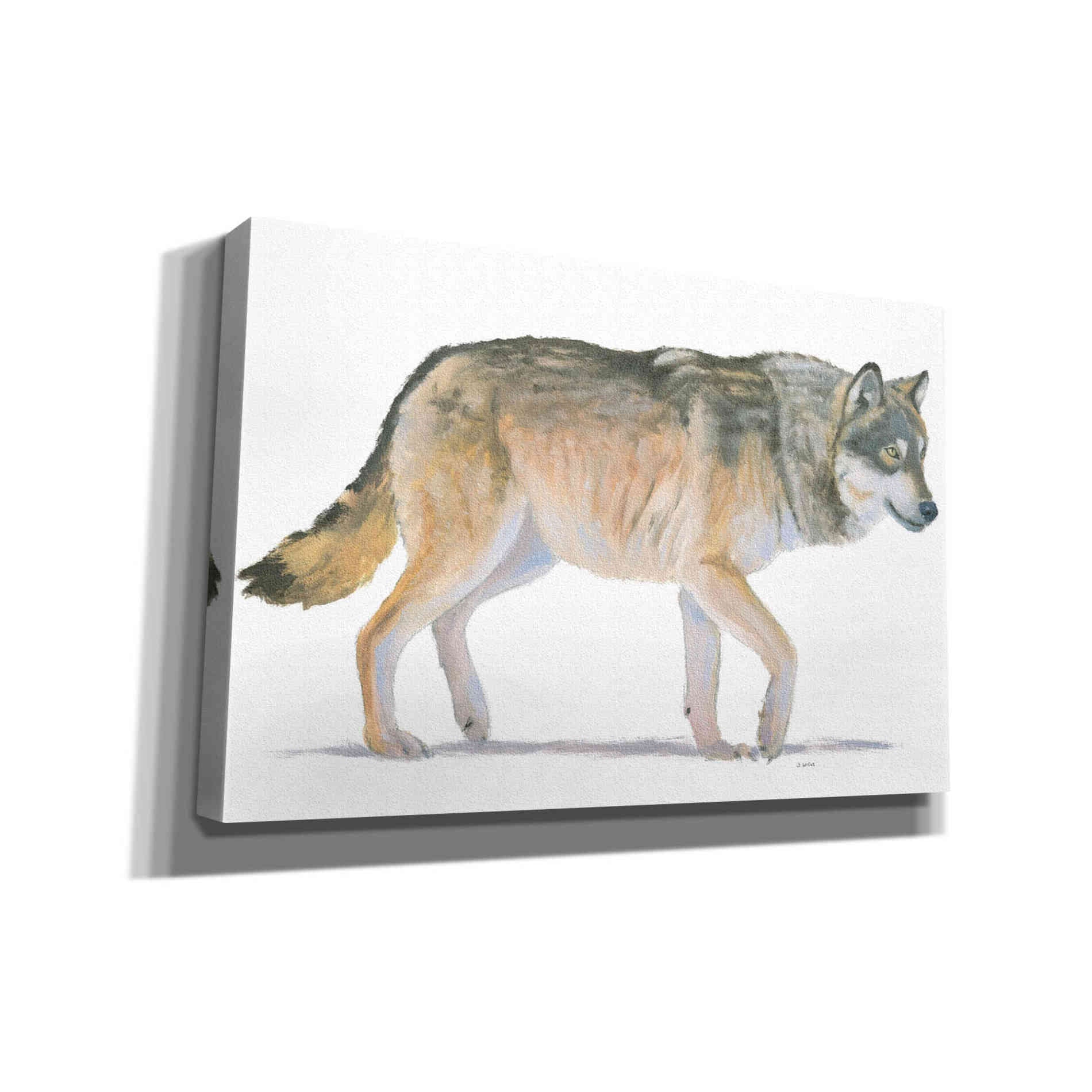 'Northern Wild II' by James Wiens, Canvas Wall Art,18x12x1.1x0,26x18x1.1x0,40x26x1.74x0,60x40x1.74x0