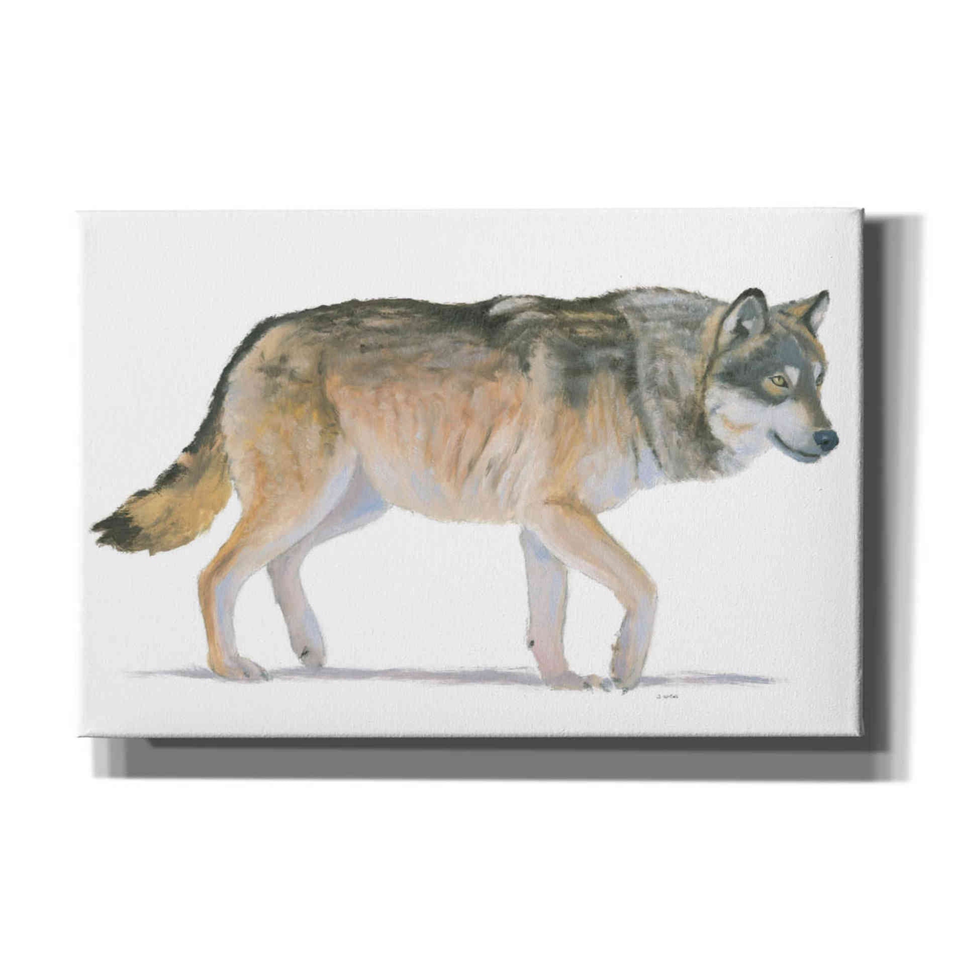 'Northern Wild II' by James Wiens, Canvas Wall Art,18x12x1.1x0,26x18x1.1x0,40x26x1.74x0,60x40x1.74x0