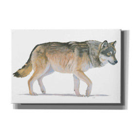 'Northern Wild II' by James Wiens, Canvas Wall Art,18x12x1.1x0,26x18x1.1x0,40x26x1.74x0,60x40x1.74x0