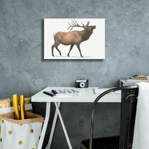 'Northern Wild III' by James Wiens, Canvas Wall Art,18 x 12