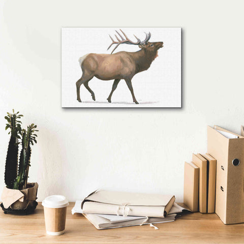 Image of 'Northern Wild III' by James Wiens, Canvas Wall Art,18 x 12