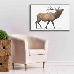 'Northern Wild III' by James Wiens, Canvas Wall Art,40 x 26